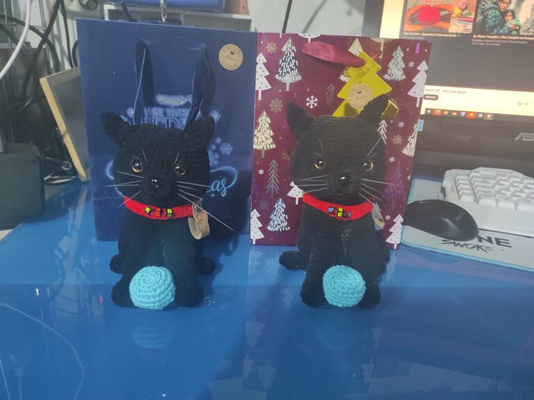 Chats web